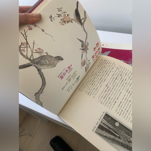 7 Lot of beautiful Japanese illustrated books in English and Japanese - Picture 15 of 16